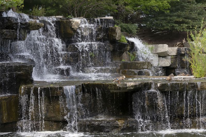 Eco-Friendly Options