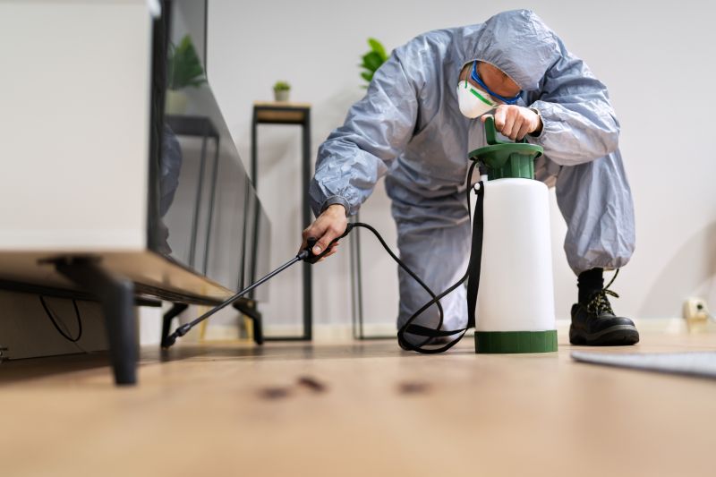 Pest Fumigation Service in Fort Collins, CO