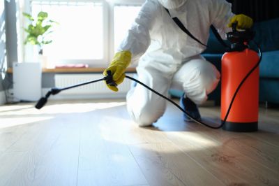 Trapdoor Spider Removal in Rockwall, TX